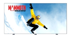 Mammoth Modular Displays